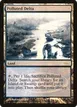 Polluted Delta #8