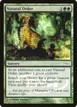 Natural Order #2