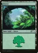 Forest #5