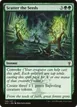 Scatter the Seeds #106