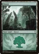 Forest #106
