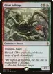 Giant Solifuge #91
