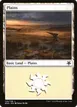 Plains #124