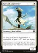 Kitesail Apprentice #12