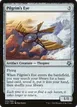 Pilgrim's Eye #55