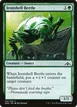 Ironshell Beetle #134