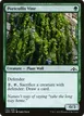 Portcullis Vine #142