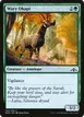 Wary Okapi #149