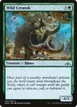 Wild Ceratok #150