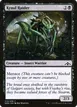 Kraul Raider #270