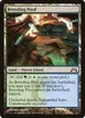 Breeding Pool #240
