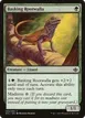 Basking Rootwalla #2