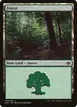 Forest #30