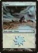 Plains #37