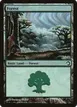 Forest #41