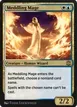 Meddling Mage #17