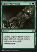Spider Spawning #17