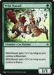 Wild Nacatl #13