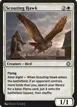 Scouting Hawk #102