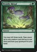 Druidic Ritual #208