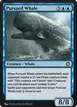 Pursued Whale #909