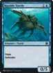 Riptide Turtle #910