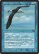 Giant Albatross #27b