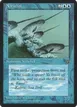 Narwhal #35
