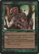 Carapace #84a