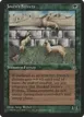 Joven's Ferrets #89