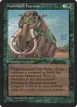 Mammoth Harness #91