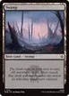 Swamp #191