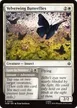 Velvetwing Butterflies // Gaze in Wonder #30