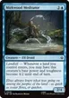 Mirkwood Meditator #48