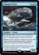Colossal Whale #174