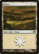 Plains #145