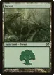 Forest #166