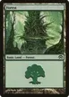 Forest #169