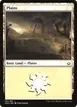 Plains #191