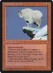 Mountain Goat #203