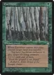Earthlore #231