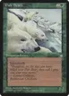Pale Bears #256