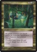 Flooded Woodlands #290