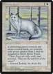 Arctic Foxes #2