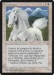 Hipparion #31