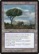 Veldt #363