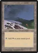 Plains #365
