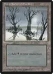 Snow-Covered Swamp #372