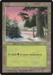 Forest #381