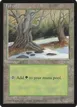 Forest #382